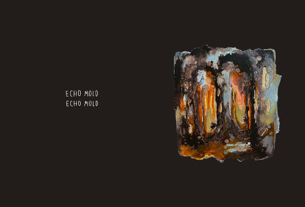 Echo Mold - 12