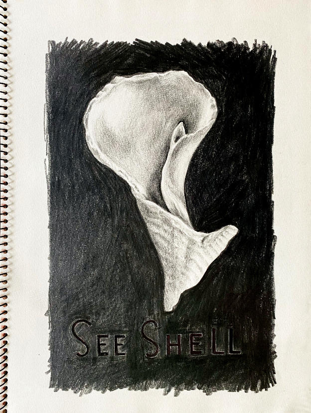 See Shells - Page 4