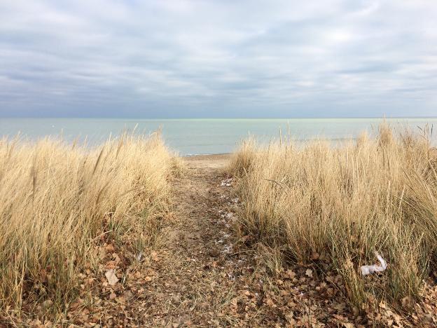 Loyola Dunes - Spring